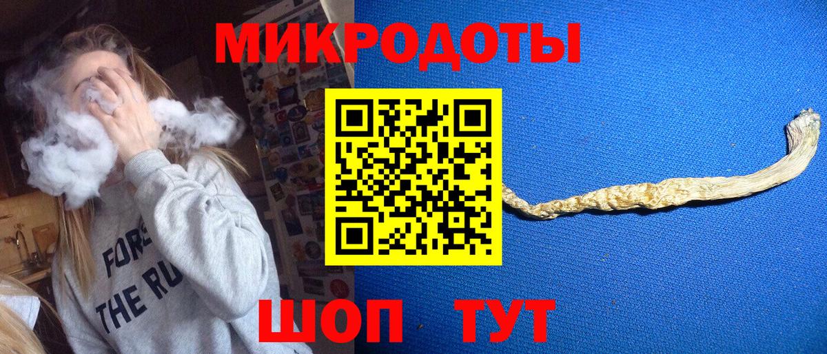 Элиста  Псилоцибиновые грибы MAGIC MUSHROOMS  Вход с VPN  Псилоцибиновые грибы Magic Shrooms 